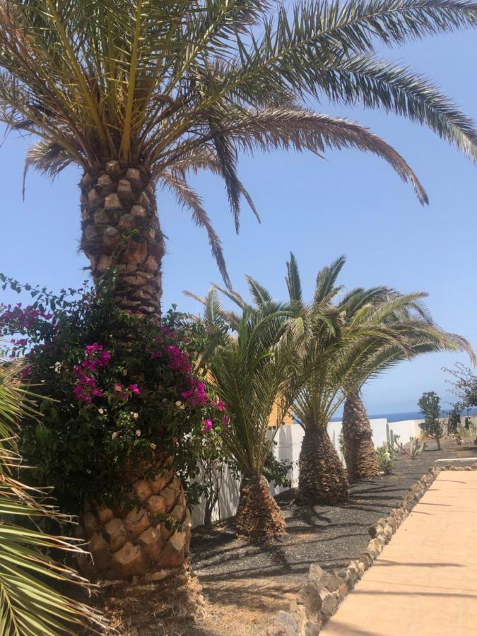 Apartamento La Tortuga De Fuerteventura Costa De Antigua Exteriör bild