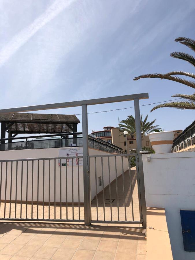 Apartamento La Tortuga De Fuerteventura Costa De Antigua Exteriör bild